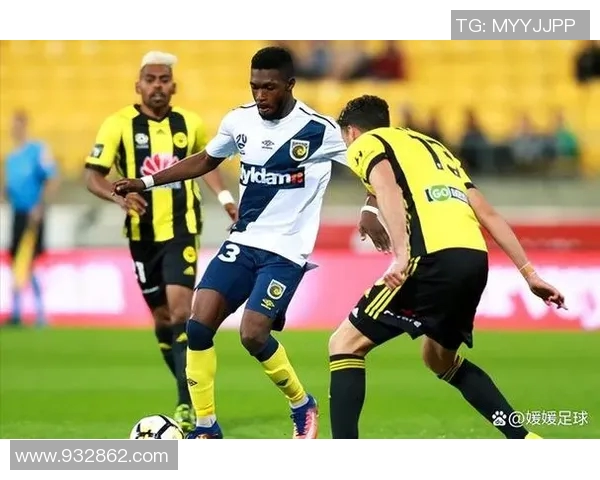 惠灵顿凤凰迎战布里斯班狮吼期待精彩对决与激烈碰撞