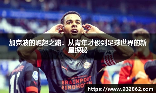 TVT体育手机网页版登录